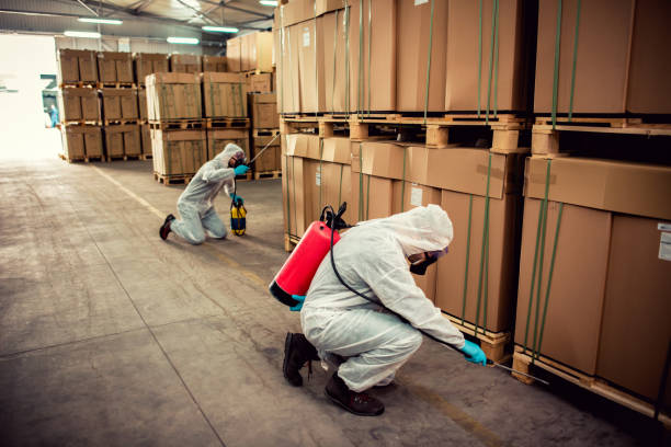 Best Wasp Removal Services  in South Carthage, TN