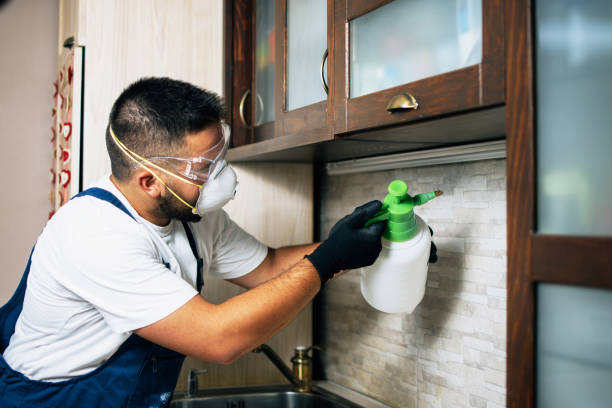 Best Pest Removal Services  in South Carthage, TN