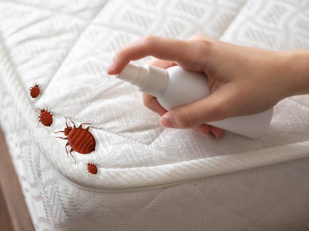 Best Pest Inspection Near Me  in South Carthage, TN