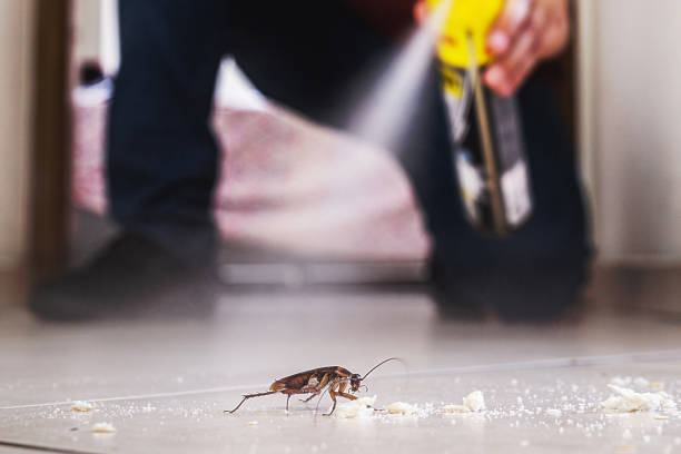 Trusted South Carthage, TN Pest Control Experts